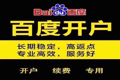 百度搜索推广实战经验：经典案例剖析