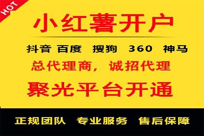 信息流广告代理成功案例分析